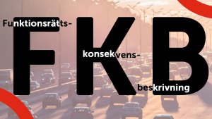 Funktionsrättskonsekvensbeskrivning