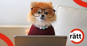 Liten hund med glasögon sitter framför en laptop.