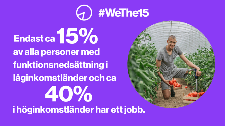 En man med benprotes skördar tomater.