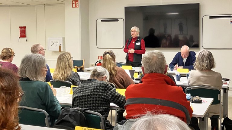 Annika Hässler står främst i lokalen och pratar. Framför henne sitter ledamöterna på rad.