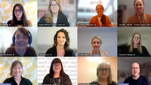 Flera personer i digitalt möte, bland annat syns vår handläggare Berit Hagström.