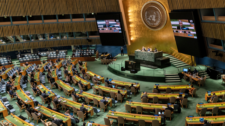 Ett FN-möte i full gång