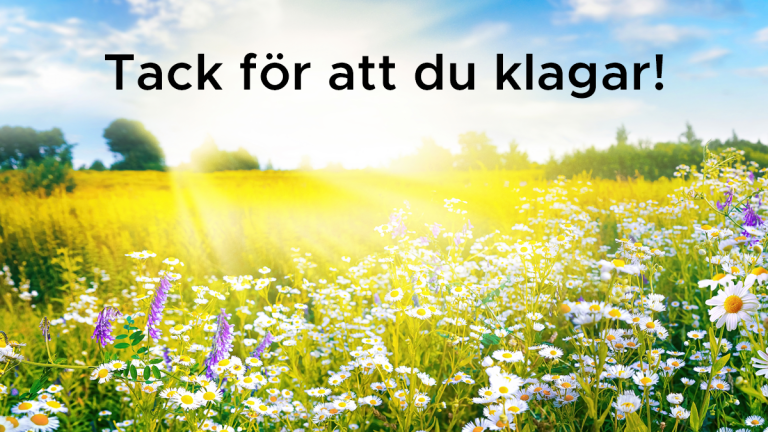 Texten Tack för att du klagar står över en bild av ett solbelyst sommarfält med prästkragar och andra blomster.