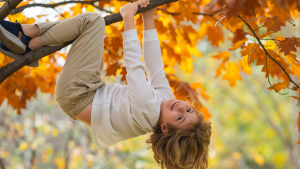 Ett barn hänger och klänger i en trädgren. Hon har vit tröja, beigea byxor och ler glatt, redo för höstens roligheter. Trädet har gula höstlöv.