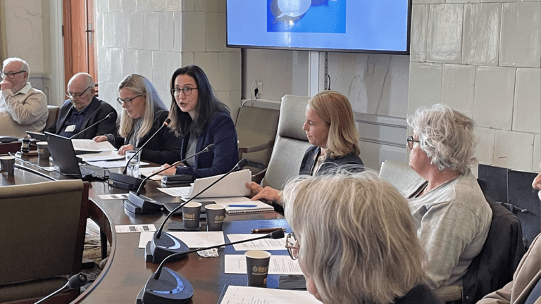 Flera personer sitter kring ett o-format bord. Aida Hadžialić talar i en bordsmikrofon. I bakgrunden visar hon en presentation på en skärm.