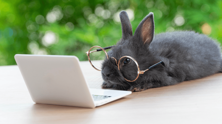En liten kanin med alltför stora glasögon sitter framför en liten leksaksdator. Den ser ut som den jobbar.