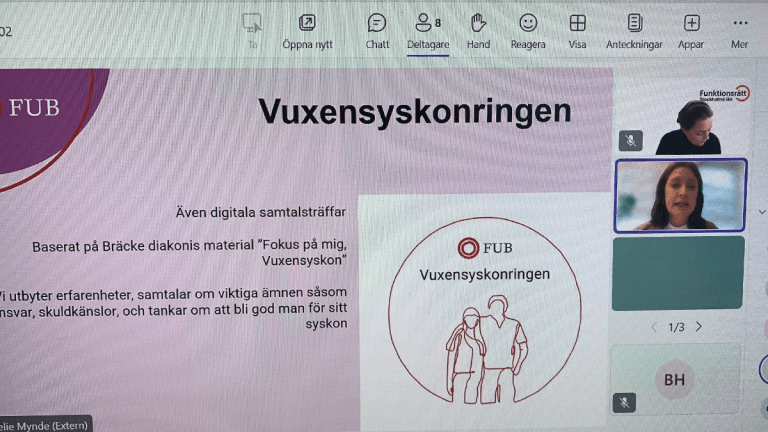 En bild från ett digitalt möte. Emelie Myndes ansikte syns i en ruta. Hon har mörkbrunt hår ner till axlarna. Hon pratar och ser rätt allvarlig ut.